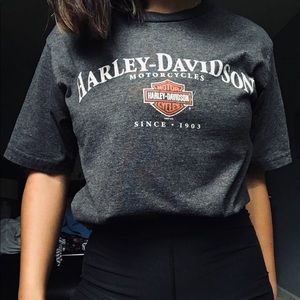 Harley shirt (not a stain? Lighting is weird)